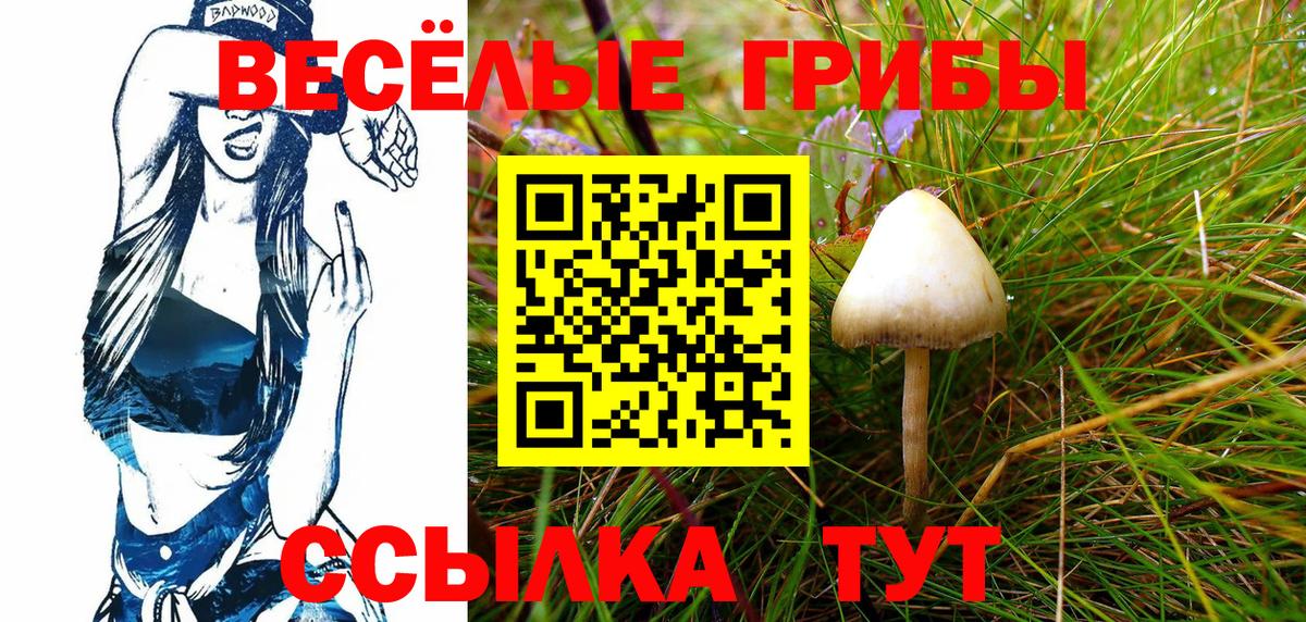 Галлюциногенные грибы GOLDEN TEACHER  Псилоцибиновые грибы Psilocybine cubensis  Вход с VPN  Егорьевск 